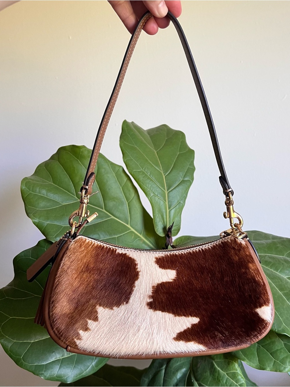NWT Coach! Ashton Mini Shoulder Bag
In Haircalf With Cow Print - Picture 5 of 9